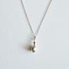 Silver 925 Fruit Necklace