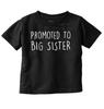 Promoted To Big Sister Older Daughter Shower Girls Toddler Kids Youth T Shirt