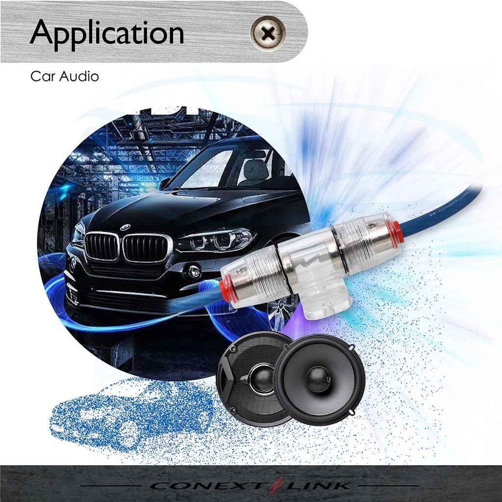 Conext Link AGU10-10 10 Nickel 10 Amp AGU Fuses 10