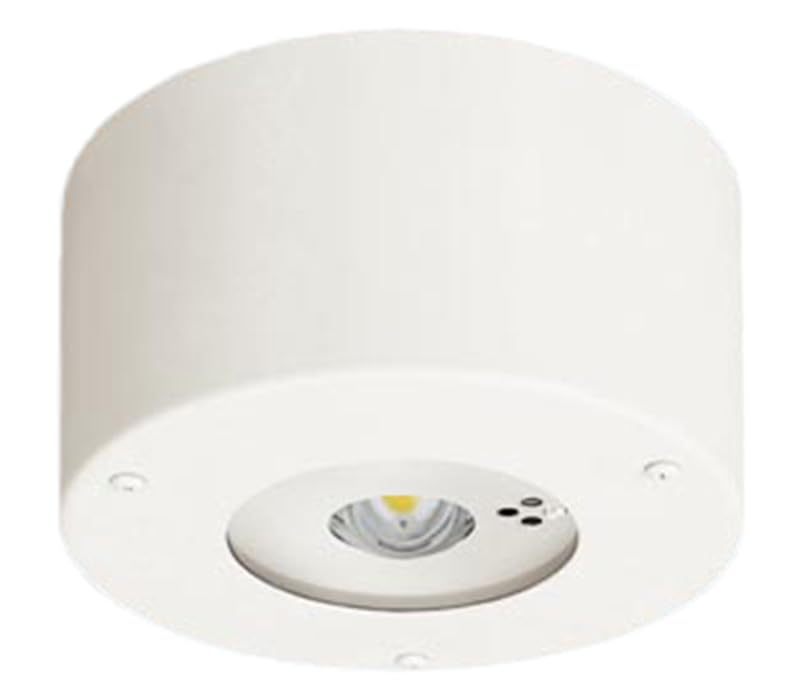 Panasonic LED Emergency Lighting Daylight for Low Ceilings to and with Switch and Remote Control White Ceiling-Mounted Fixture, White, 30-Minute Type,