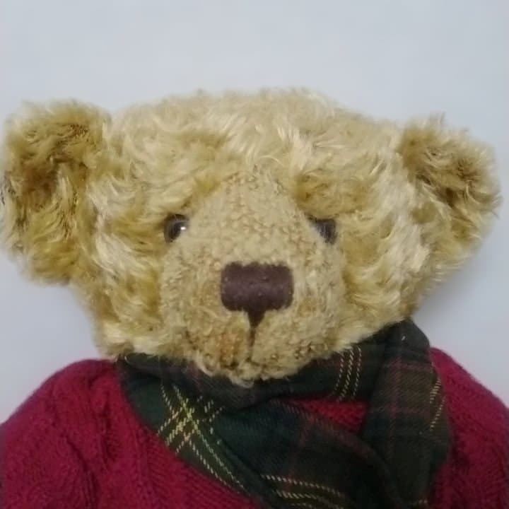 [USED] Harrods Year Bear 2005 20th Anniversary Teddy Bear