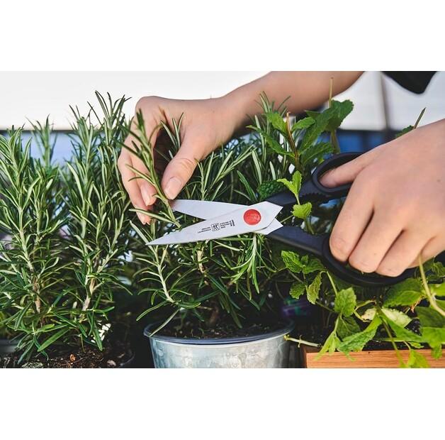 Набор ножей Zwilling Gourmet, 7 предметов, натуральный (36131-002-0)