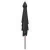 Wooden Mast Sun Umbrella 200 X 300 Cm Anthracite Grey