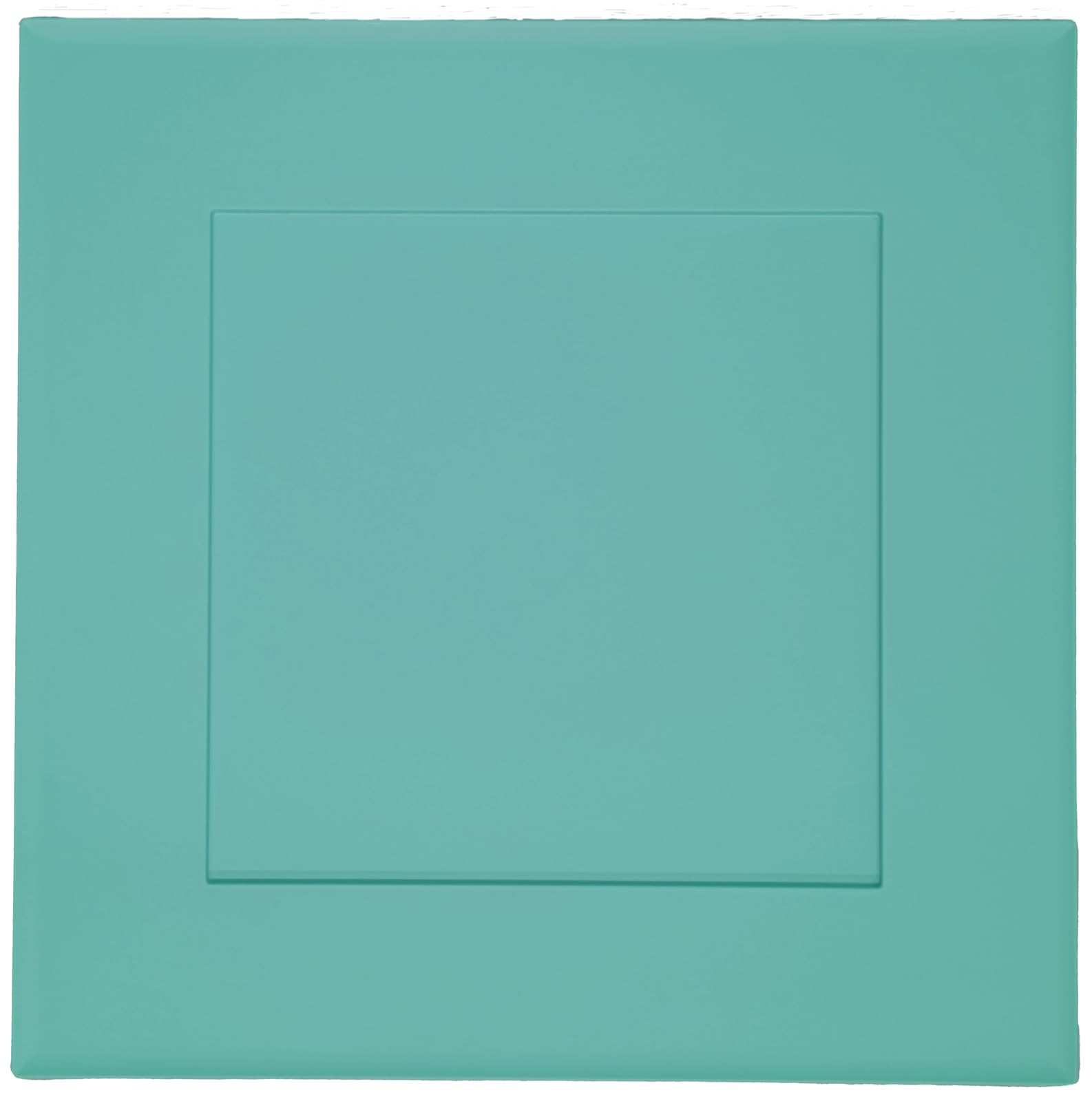 

Fukui Craft 1 сяку поднос с бортиком USUASAGI 90035081