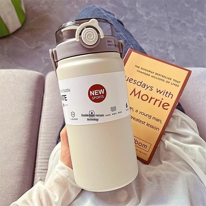 Portable Insulated Straw Water Bottle with Handle