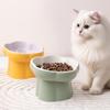 Shuoni Elevated Ceramic Slow Feeder Pet Bowl