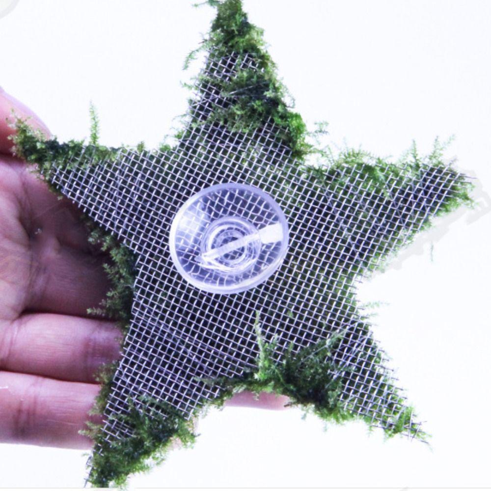 4/8/20Pcs Strong Suction Aquarium Suction Cups Set Suction Clip Cable Ties Kit  Plants Binding