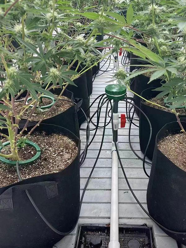 Plant Water Ring 3 Leg Support Drip Emitter Hydro Halo Water Ring Multi Outlet Drip Irrigation Ring For Grow Containers