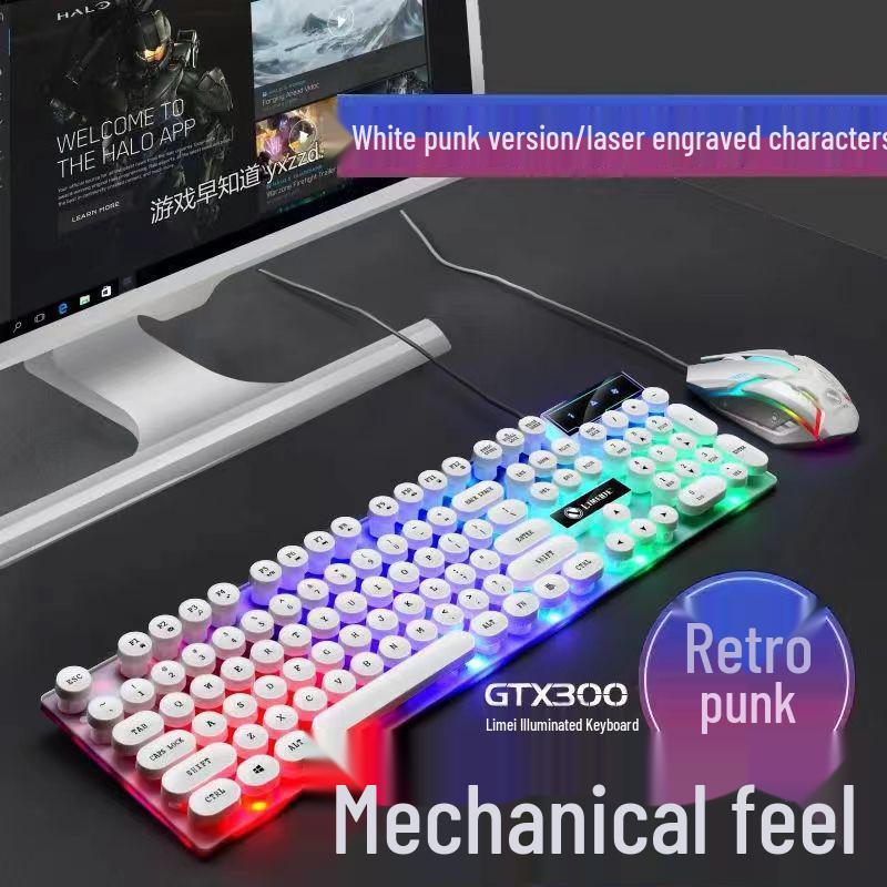 RGB Wired Mechanical Gaming Keyboard & Mouse Set for PC & Laptop