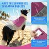 Sonnenschutz Haustier Kühlshirt Eis-Seide Haustier Kühlkleidung Haustierbekleidung Hund Kühlmantel Strand Reise