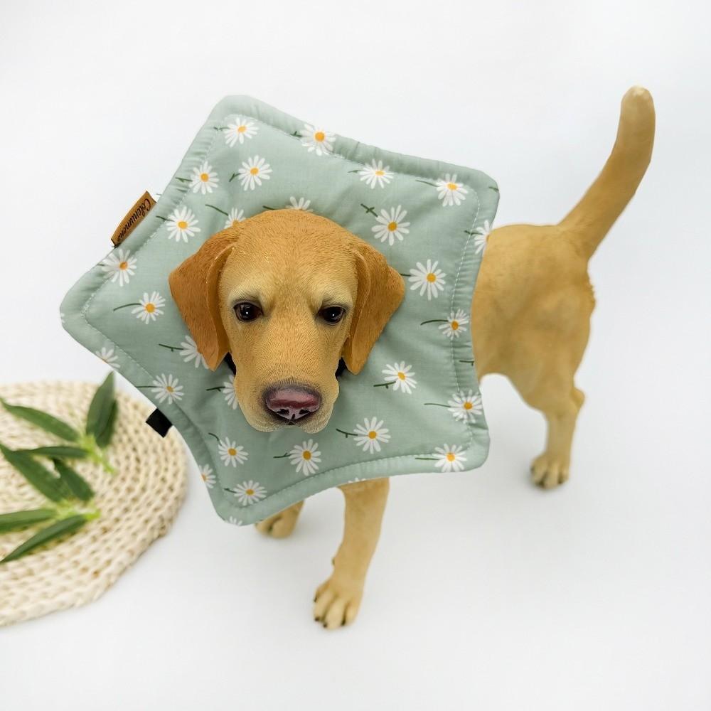 Star Shape Recovery Collar Floral Dog Muzzle Collar Pet Protection Collar  For Small Medium Pet
