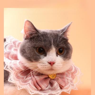 Pet Lace Saliva Towel Cat Bow Lace Edge Collar Dog Scarf Pet Decoration
