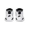 Jordan 6 Retro Little Flex TD White Pure Platinum CT4417-100
