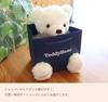 [Sears] Teddy Bear Plush Toy, Gift (Pink)