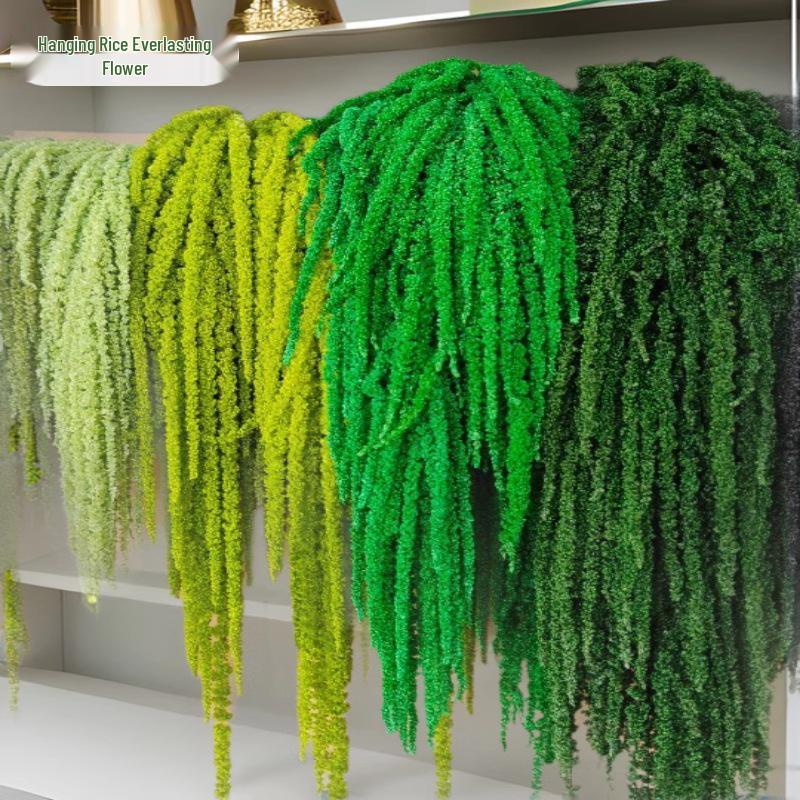 Hanging Rice Dried Preserved Flowers Wedding Decor 'Lover's Tears'