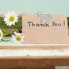 Horse Shape Paper Clips Multifunctional Cute Iron Horse Shaped Bookmark Clips with Transparent Box