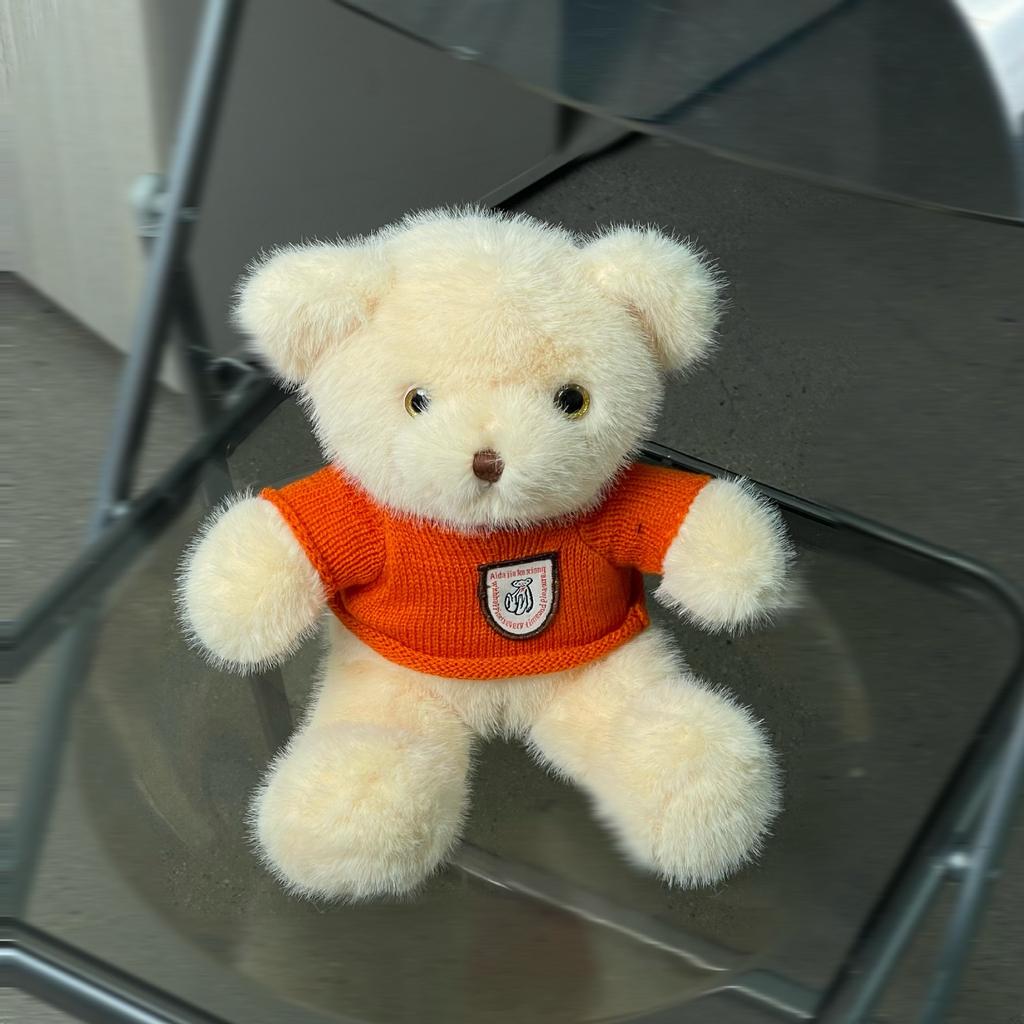 High-quality European Mink Teddy Bear Doll Grab Machine Plush Toy Birthday Gifts Spreading Street Stove Ring