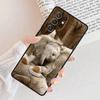 Elephant Baby Nature Phone Case For Samsung Galaxy S25 S23 S30 S8 S21 S20 FE S24 S22 Note 10 20 S8 Plus Lite Ultra