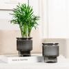 Mini Self Watering Flower Pot Fish Tank Transparent Plastic Plant Pots Self Watering Planter Pot Vase For Home Decoration