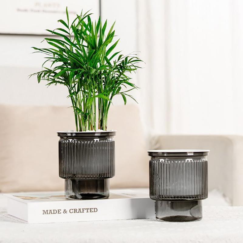 Mini Self Watering Flower Pot Fish Tank Transparent Plastic Plant Pots Self Watering Planter Pot Vase For Home Decoration