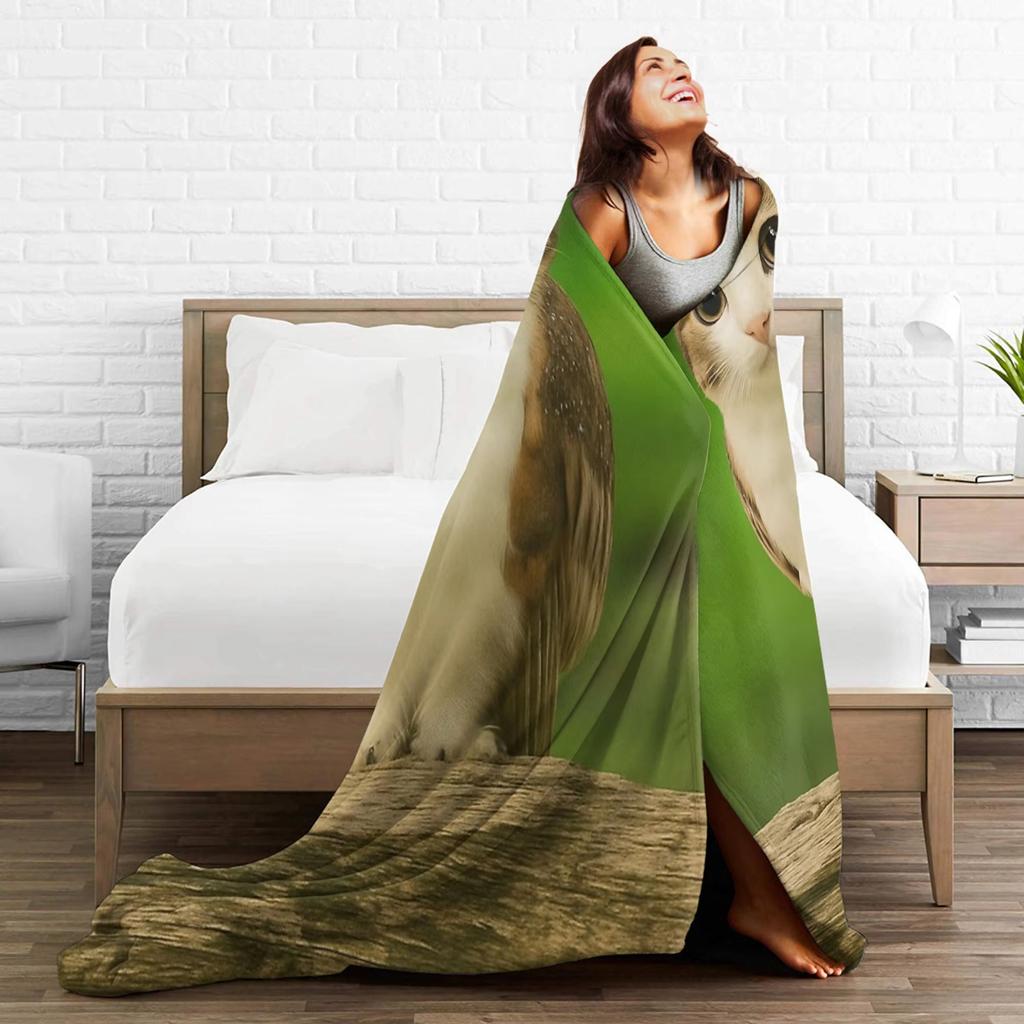 Lustige Meowl Katze Eule Internet Meme Decke Samtmaterial Multifunktional Für Wohnzimmer Schlafzimmer Sofa Deko Gemütlich