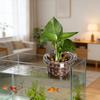 Plant Holder Fish Tank Clear Aquaponic Plant Hydroponic Planter Holder Basket for Fish Tank Aquascape