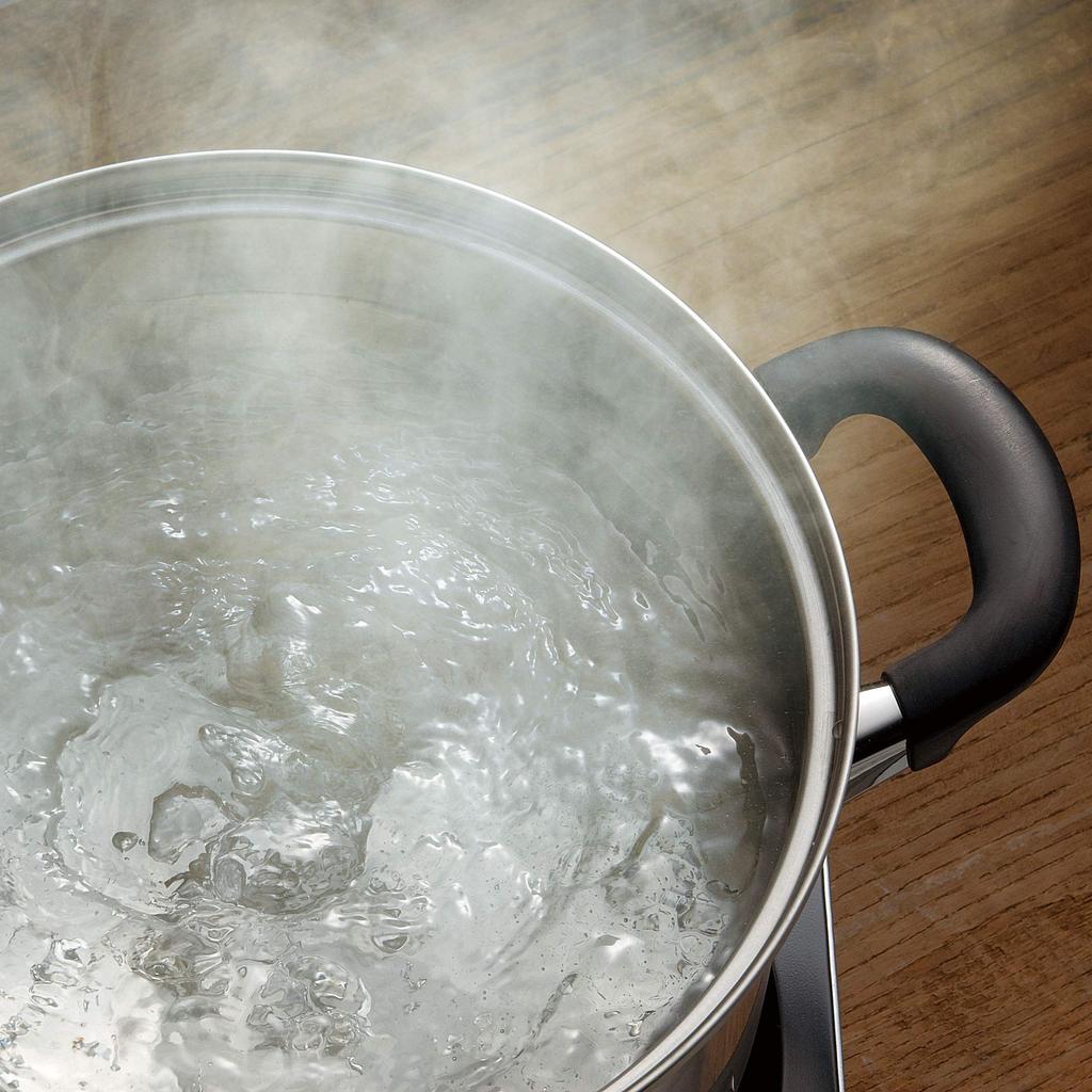 Wahei Freiz Craftsmanship Created with Induction Steel for Excellent Heat Conduction and Heat Takumiya Tsubame-Sanjo Care Deep, 22cm, Two-Handled