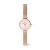 Danielwellingteon Petite Mini Melrose Blush Pink Women'S Metal Watch