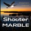 Shooter Marble by Stephen Harris Paperback Book 9781804392416