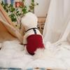 Kitten & Puppy Lamb Fleece Sweatshirt for Small Dogs - Autumn/Winter Wear