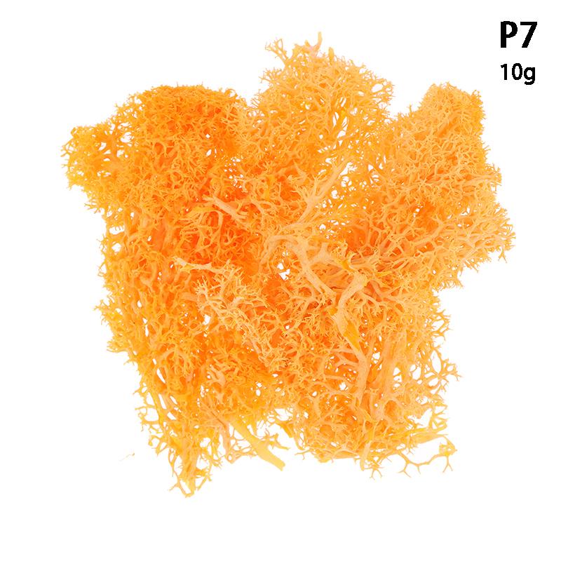 Colorful Natural Artificial Moss Plant DIY Dried Reindeer Moss Decor Resin Epoxy Filling Jewelry Garden Decorate Supplies