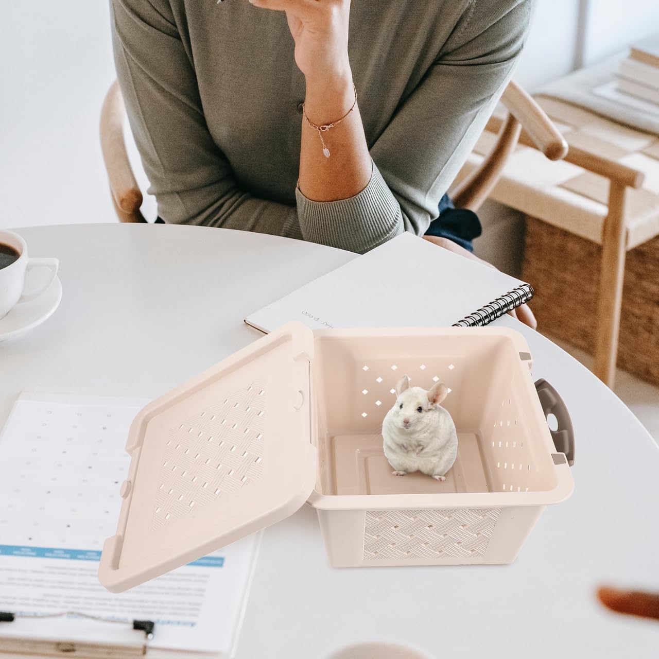 

Бокс для транспортировки хомяка Контейнеры для хранения Клетка для хомяка Клетки для морских свинок Кейс для морской свинки Переноска для птиц Переноски для мелких животных Переноска для хомяка Кейс для крысы