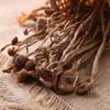 Chubannian Dried Tea Tree Mushrooms