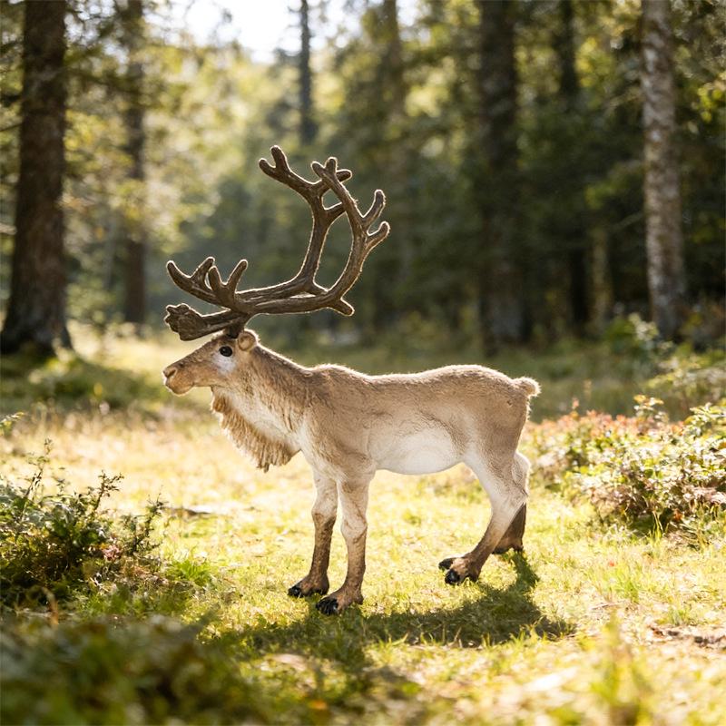 Realistic Wild Animal Elk & Reindeer Cognitive Toy for Kids