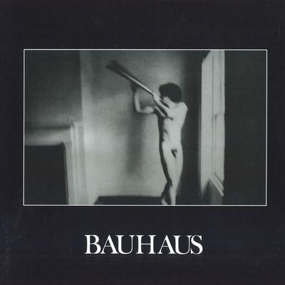 LP Record BAUHAUS  In The Flat Field CAD2901 4AD 2016 US Rock