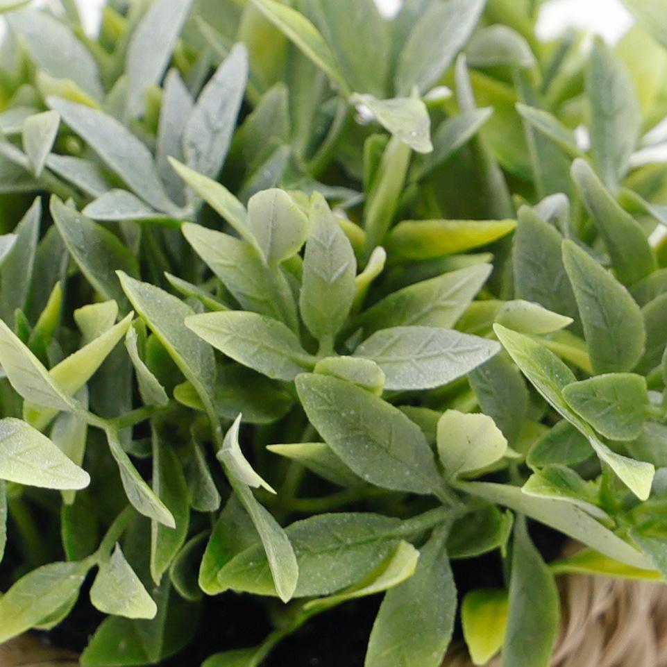 1 Popular Potted Plant Simulation Eucalyptus Green Plant Decoration for Home Plants, Perfect for Desk and Home Decoration