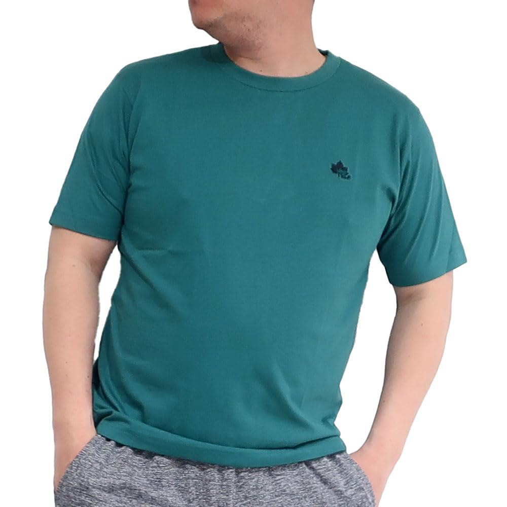 

LOGOS park Men s Brand T-Shirt, Moisture-Wicking, Quick-Drying, Short Sleeve, M, L, LL, 10001626 (JP, Alphabet, M, GREEN)