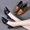 Temperament High Heels Women's Spring and Autumn New Pointed Thick Heel Versatile One-pedal Single Shoes Soft Leather Medium Heel Small Leather Shoes