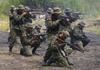 Olive Green Military Paint RAL 6014 MAT for NATO Cold War Camouflage