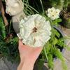 11cm Fabric Hair Ties Elastic Scrunchies Multi Color Hair Scrunchies For Daily Use Styling