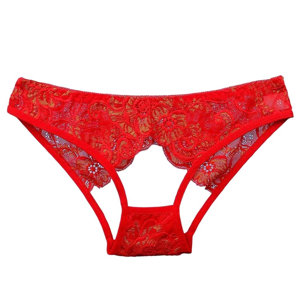 Sexy Hollow Out Lace Underwear Women Low Waist Hipster Floral Embroidered Panties Sheer Thin Briefs