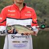 SOUGAYILANG Nový rybářský prut Baitcasting Sada rybářských navijáků 1,8 m 2,1 m 2,4 m Převodový poměr 6,3:1 Odlévací rybářský naviják 17+1BB
