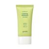 Heartleaf Calming Moisture Sun Cream SPF50+ PA++++