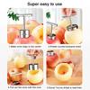 1/2PCS New Stainless Steel Vegetable Drill Fruit Corer Remover Veggie Corers With 2 Sizes for Coring and Hollowing Out  Potatoes