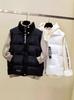 2024 Damen Koreanischer Stil Daunen-Baumwollweste - Frühjahrs-/Herbst-Oberbekleidung, Winterjacke