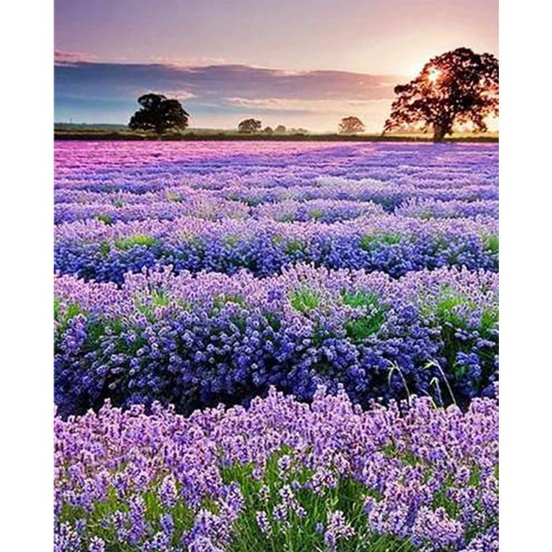 Pictură cu diamant DIY 5D Animale și peisaje interesante Broderie cu diamante Kit punct de cruce cu strass complet Mozaic Home Decor