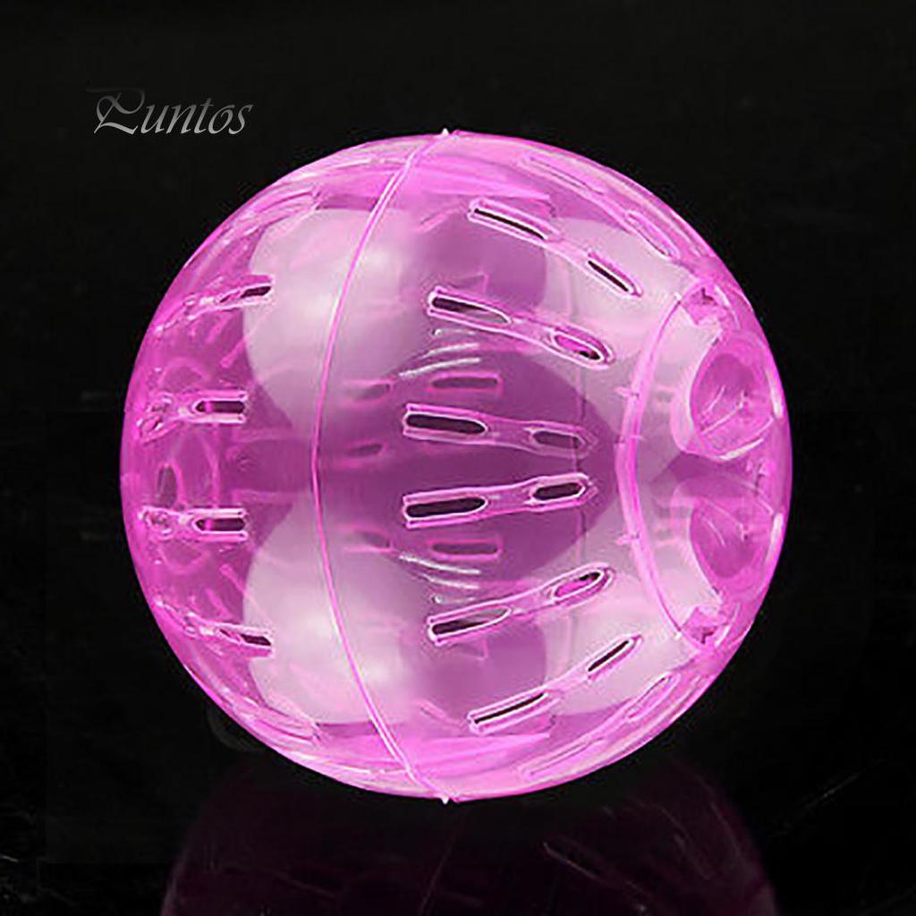 אספקת חיות מחמד עכברי מכרסמים ריצה אוגר גרביל עכברוש צעצוע כדור התעמלות