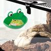 Reptile Feeder with Suction Cup Pet Landscaping Plastic Frog Tortoise Amphibian Rest Living Container Pet Supplies