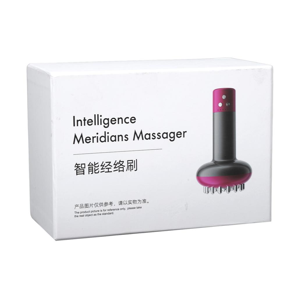Meridian Brush Heating Handed Portable Red Light 6 Levels Hot Compress Electric Scraping Brush Device
