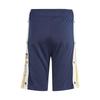 adidas Trefoil Men's Youth Knitted Shorts IN2118